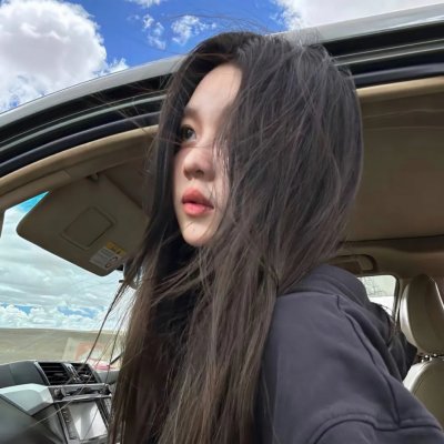 雌雄双谍封面